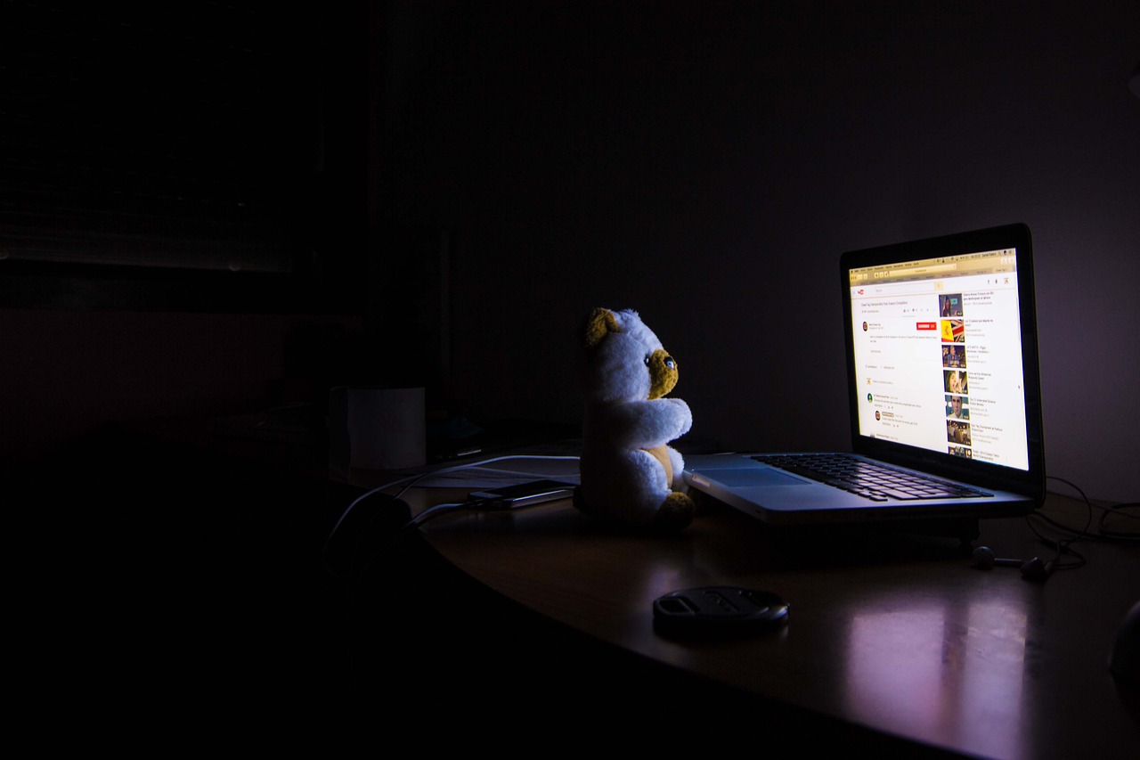 Bear on computer at night