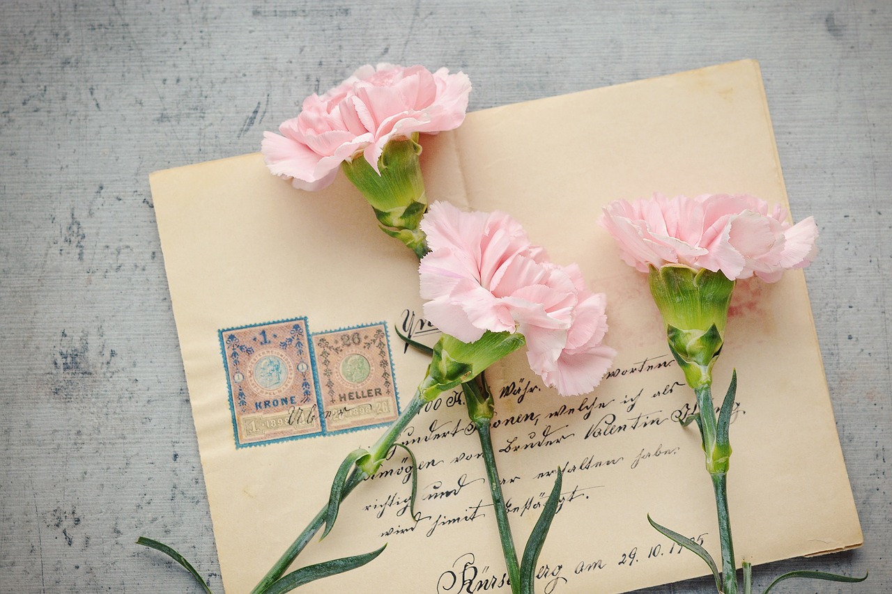 letter and envelope with pink carnations.