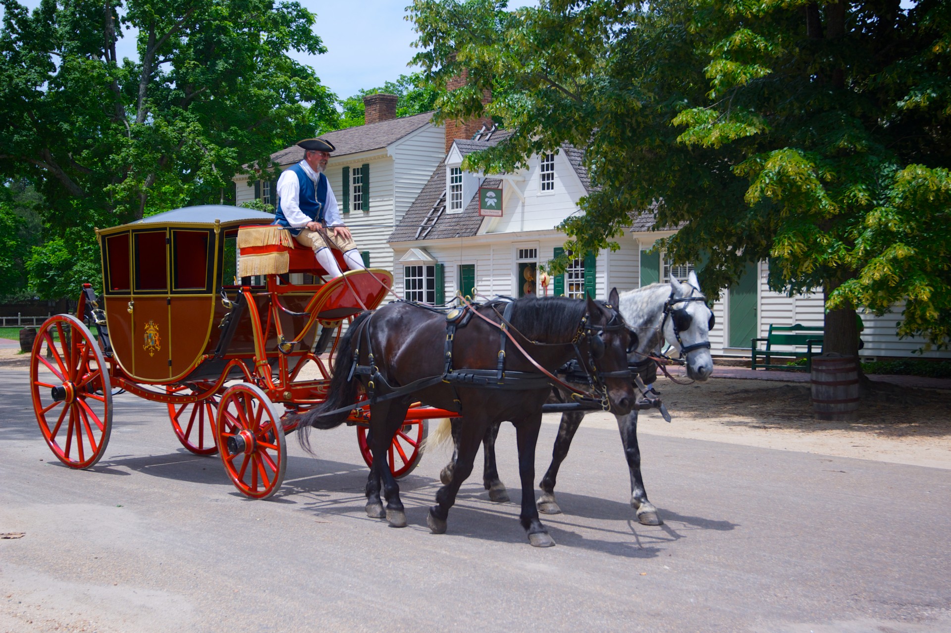 Horse and Carriage with Footman In Colonial Williamsburg.