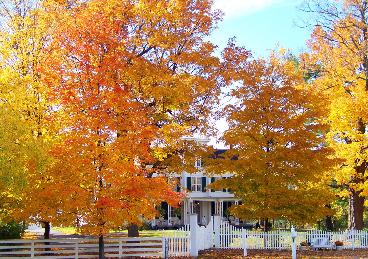 Chalet in Autumn