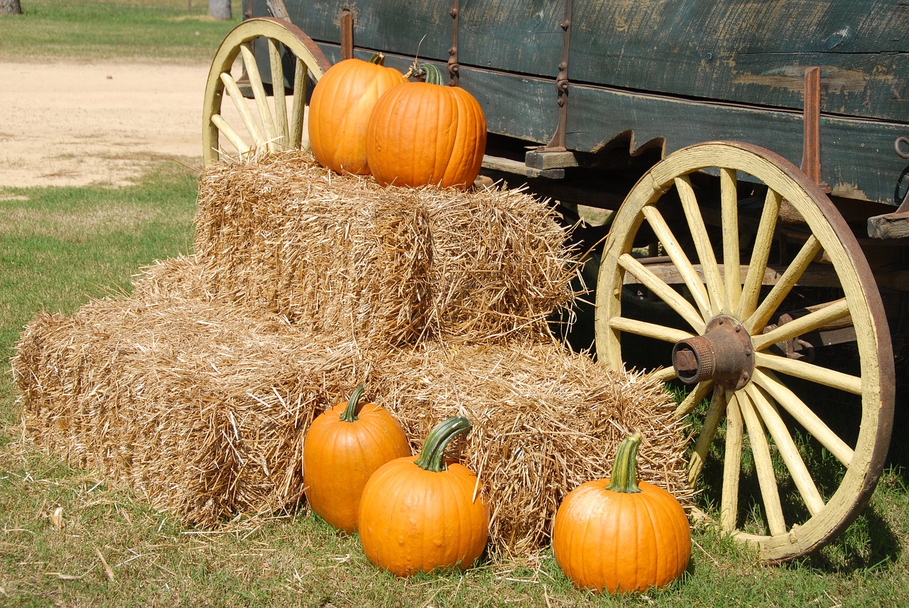Pumpkins, Hay, and A Wagon.